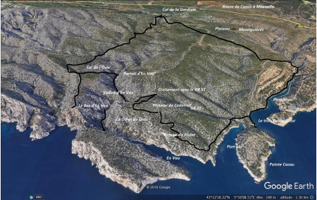 Rando du 19 février : Port Miou, Port Pin, En Vau