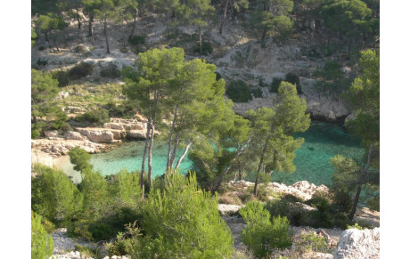 LES CALANQUES DE CASSIS