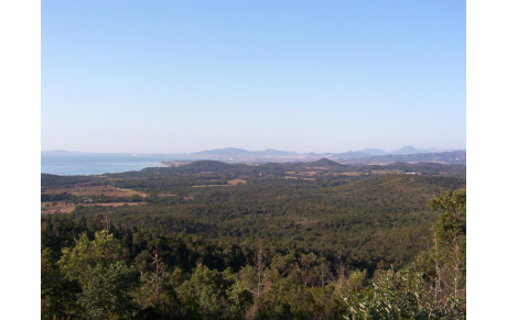 LE TRAPAN