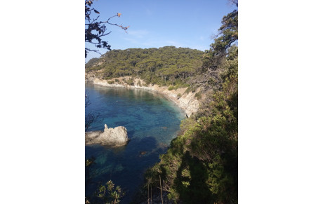 LE TOUR DE LA MADRAGUE