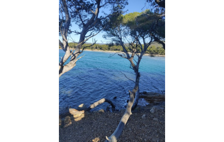 Du Côté de BREGANCON